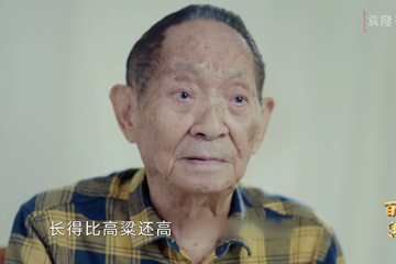 百年党史“潮”青年 73 喜看稻菽千重浪