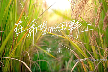 在希望的田野上 01